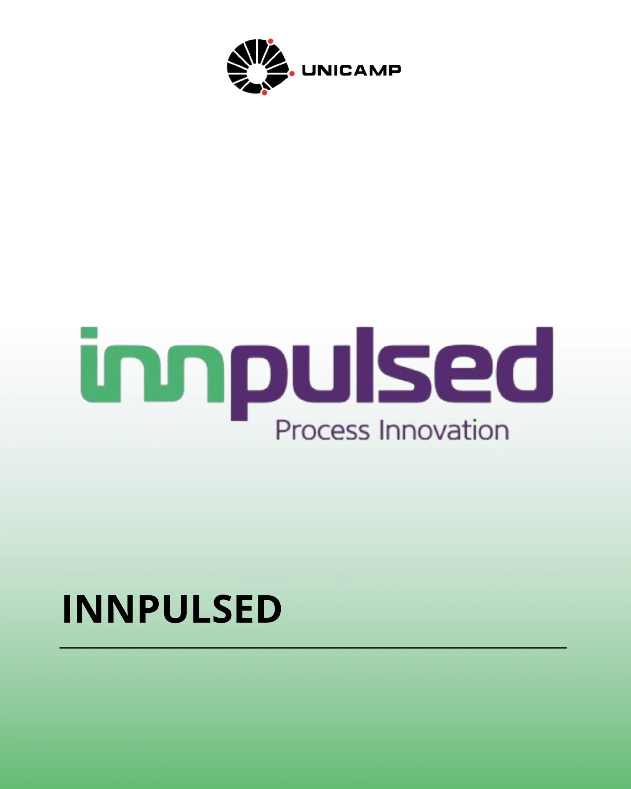 Parceiros_innpulsed